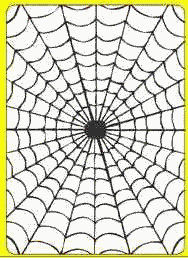 Adairs Scampering Spider (FT)